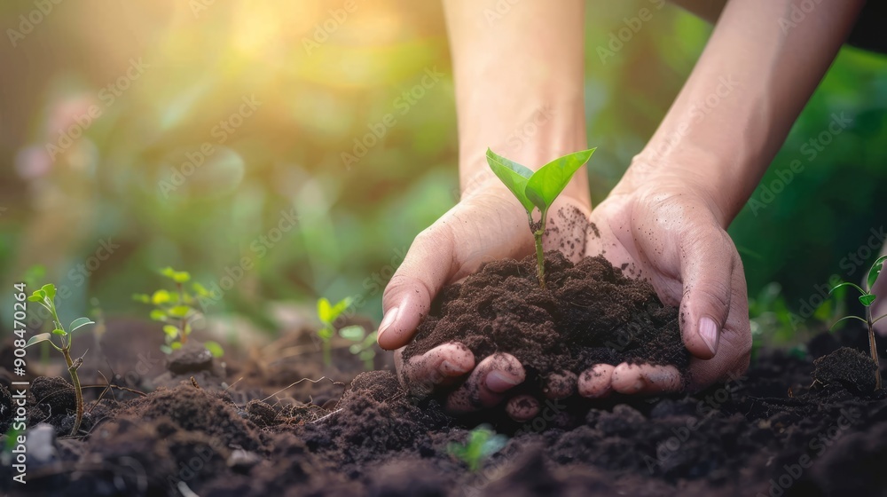 The concept of World Soil Day The concept of World Soil Day