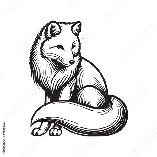 Fox Clipart, White Fox Outline Design,  A Sitting arctic fox illustration in black and white