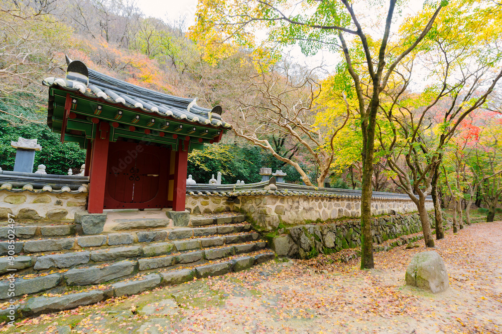 beautifully captures autumn at Naejangsan, Korea, where traditional Korean temples are framed by vibrant red and orange leaves, set against a serene mountain backdrop. beautifully captures autumn at Naejangsan, Korea, where traditional Korean temples are framed by vibrant red and orange leaves, set against a serene mountain backdrop.