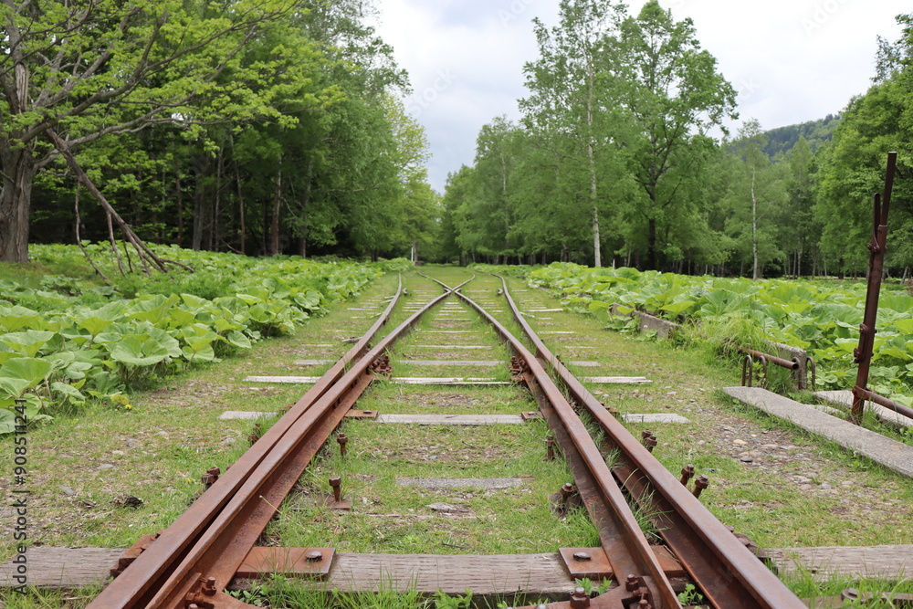 Fototapeta premium 鉄道