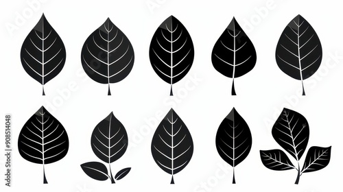 A sleek set of leaf icons, perfect for enhancing your design projects with natural elements, available in black on white. photo