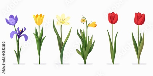 Wallpaper Mural Collection of 2D and 3D Vector Flat Abstract Minimalistic Art of Flowers and Meadow Isolated on a White Background Torontodigital.ca
