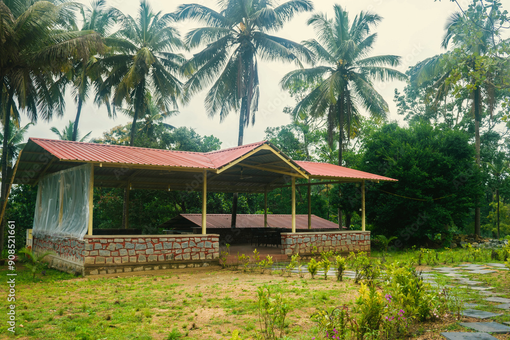 View of a beautiful guest house in the jungle with coconut trees in the background. View of a beautiful guest house in the jungle with coconut trees in the background.