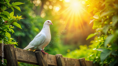 A serene white dove perched on a weathered wooden fence, surrounded by lush greenery and soft sunlight, symbolizing peace and harmony in a rustic setting.