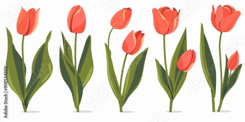 Wallpaper Mural Collection of 2D and 3D Vector Flat Abstract Minimalistic Art of Flowers and Meadow Isolated on a White Background Torontodigital.ca