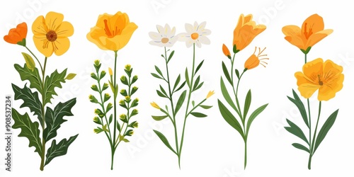 Collection of 2D and 3D Vector Flat Abstract Minimalistic Art of Flowers and Meadow Isolated on a White Background