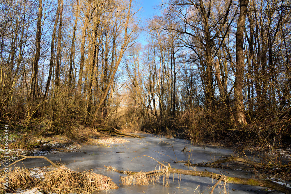 Frozen river and Ice in the forest in winter