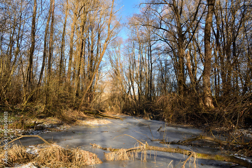 Obraz na płótnie Frozen river and Ice in the forest in winter w salonie