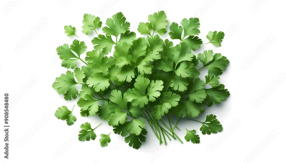 Obraz premium coriander leaves - Generative AI