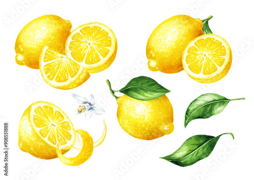 Fresh Lemon fruit set, with zest and green leaves. Hand drawn watercolor illustration isolated on white background