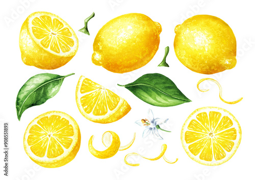 Fresh Lemon fruit set, whole and slices, with zest and green leaves. Hand drawn watercolor illustration isolated on white background photo