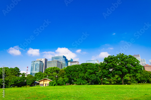 皇居東御苑・江戸城跡の公園の木々越しに見える、都会・丸ノ内・大手町・日比谷のビル（東京都千代田区）