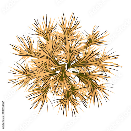 Detailed illustration of a dried, brown tumbleweed isolated on a white background, perfect for nature or desert-themed projects.