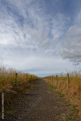 The straight Cinder Path to the iron gate of the entrance to the area within a Farmers Field where the Ardestie Iron Age Remains are situated. photo