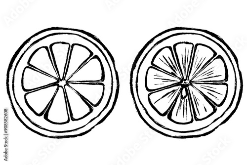 筆タッチのレモンのモノクロ線画イラスト