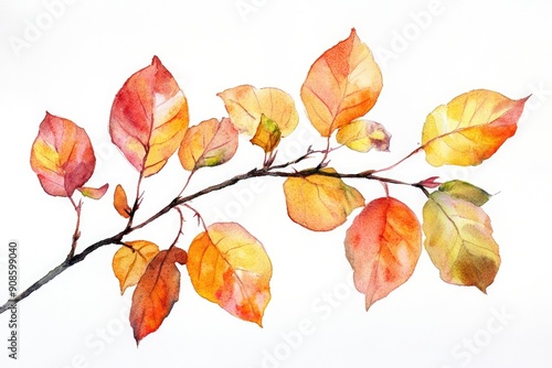 Vibrant watercolor illustration of autumn leaves showcasing warm hues of orange, yellow, and red against a clean, white background.