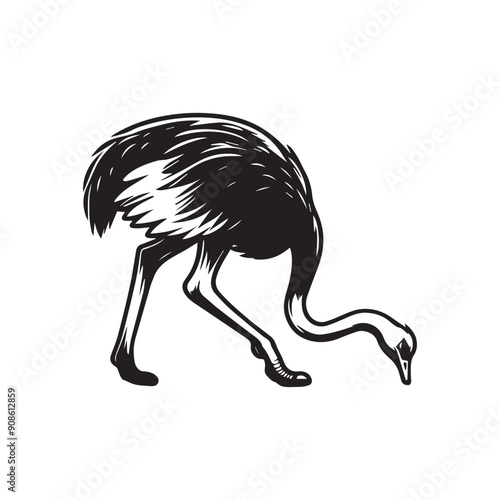 Ostrich Clipart, Struthio Bird Outline Design,  Common ostrich silhouette, Flightless bird illustration in black and white