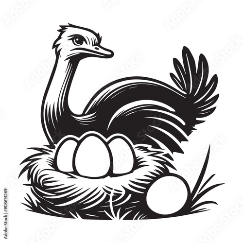 Ostrich Clipart, Struthio Bird Outline Design,  Common ostrich silhouette, Flightless bird illustration in black and white