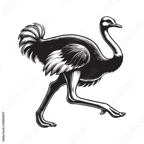 Ostrich Clipart, Struthio Bird Outline Design,  Common ostrich silhouette, Flightless bird illustration in black and white