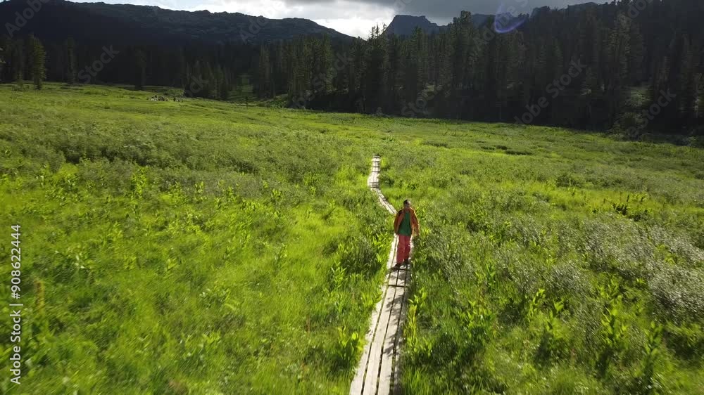 Drone view of walking tourists walking through forest footpath with mounting view in summer. Drone view of walking tourists walking through forest footpath with mounting view in summer.