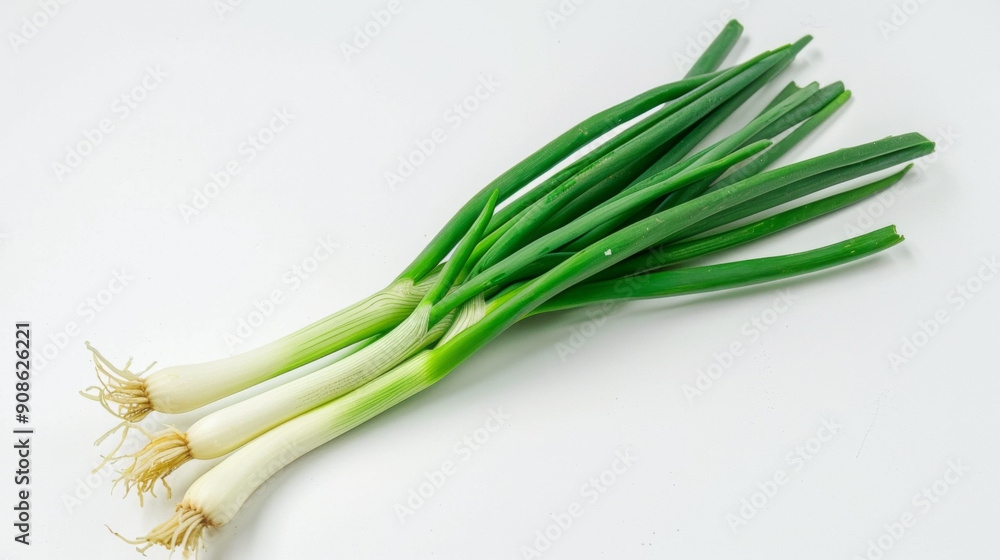 A whole green onion isolated on white A whole green onion isolated on white