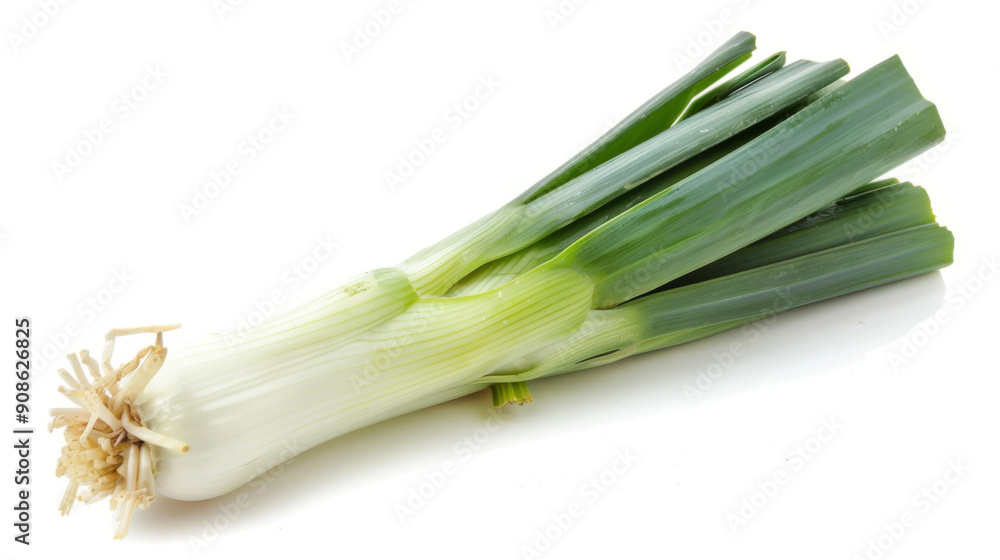 A whole leek isolated on white A whole leek isolated on white