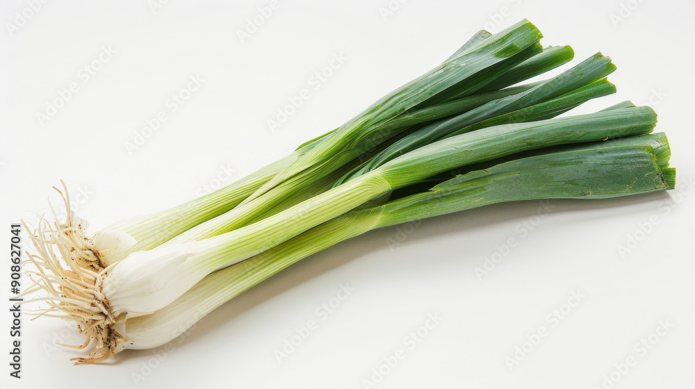A whole leek isolated on white A whole leek isolated on white
