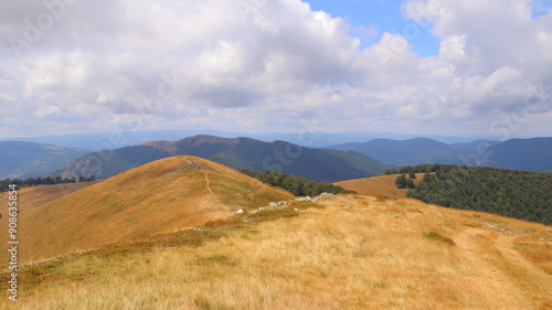 landscape in the mountains