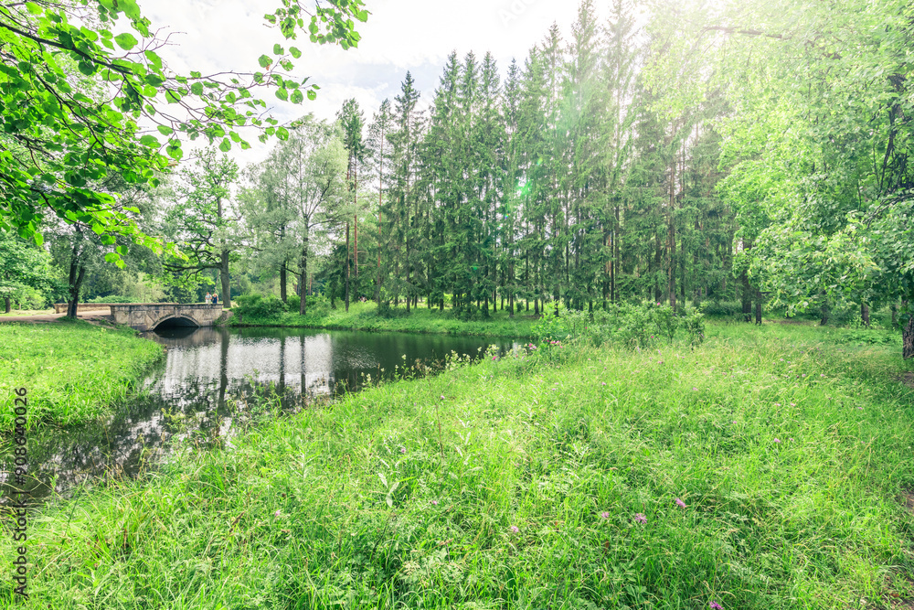 Obraz premium A bridge spans a small body of water in a lush green forest