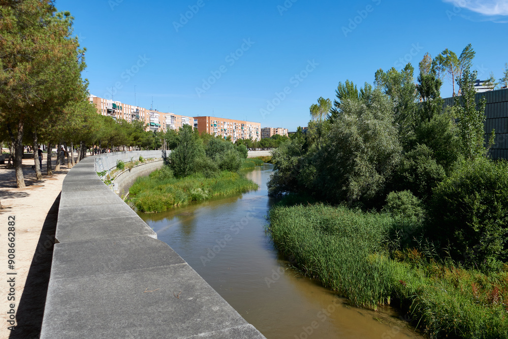 Fototapeta premium River Manzanares with green vegetation in the bed in the city of Madrid, Spain