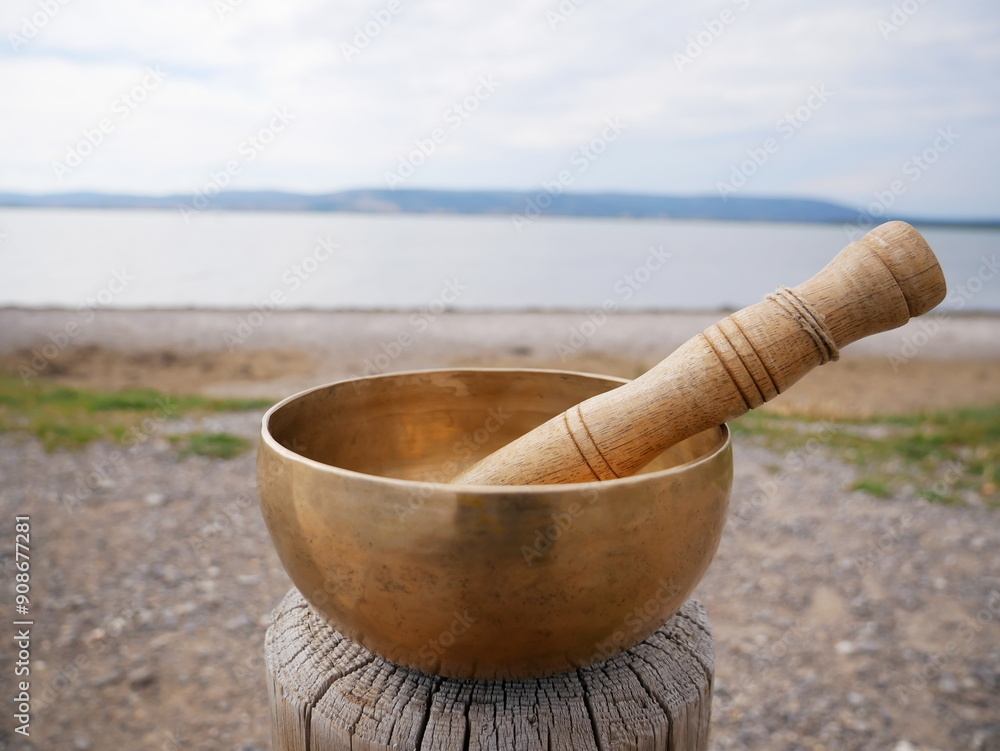 Singing bowl with the pond in background Singing bowl with the pond in background