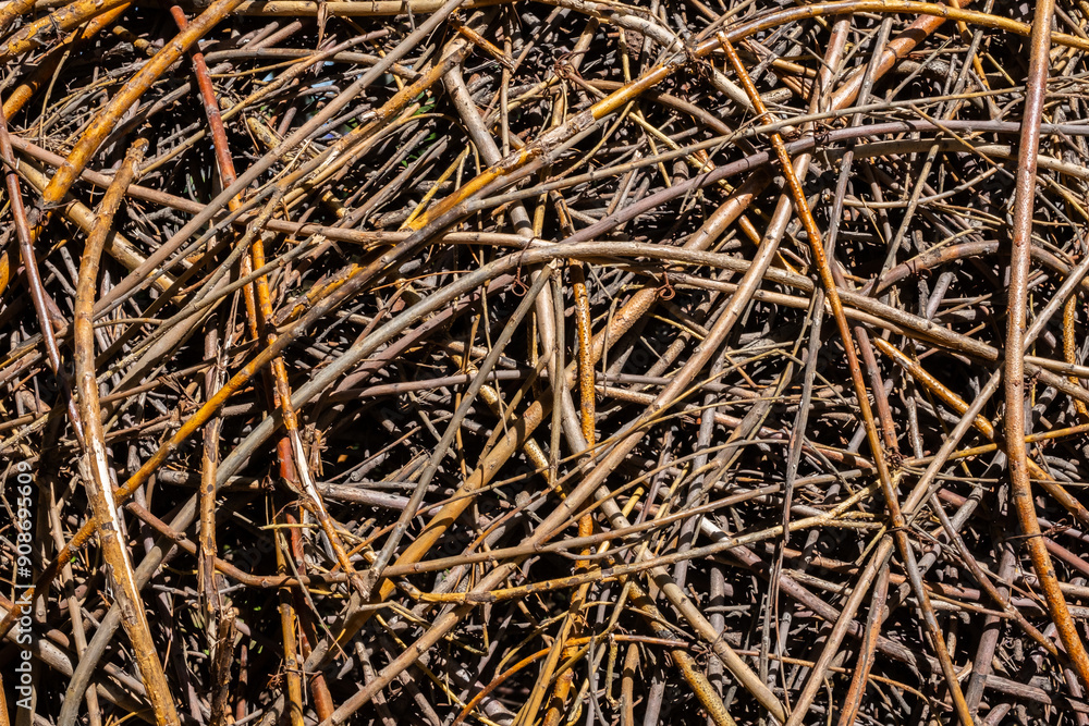 Tangled pile of dry twigs and branches various shades of brown. Tangled pile of dry twigs and branches various shades of brown.
