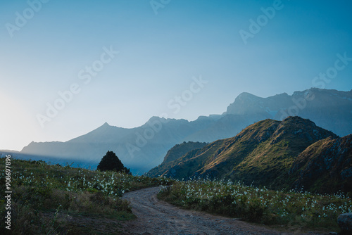 landscape in the morning