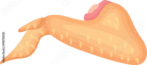 Chicken wing. Cartoon raw food. Uncooked bird meat
