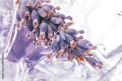 Obraz na płótnie Lavender flower on ice, close up w salonie