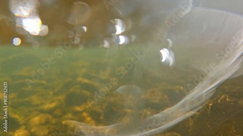 Underwater View of Rocky Riverbed, A clear underwater view of a rocky riverbed, showcasing the stones and pebbles scattered across the bottom photo