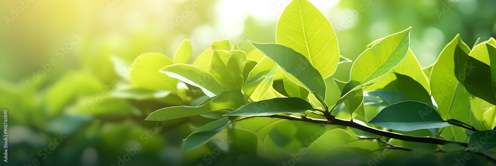 Dew-Kissed Green Foliage Basking in the Sunlight: A Close-Up View of Nature's Majestic Beauty Dew-Kissed Green Foliage Basking in the Sunlight: A Close-Up View of Nature's Majestic Beauty
