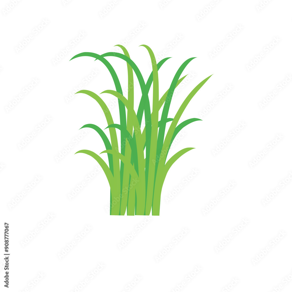 Obraz premium Green spring grass. Isolated on white background. Vector illustration.