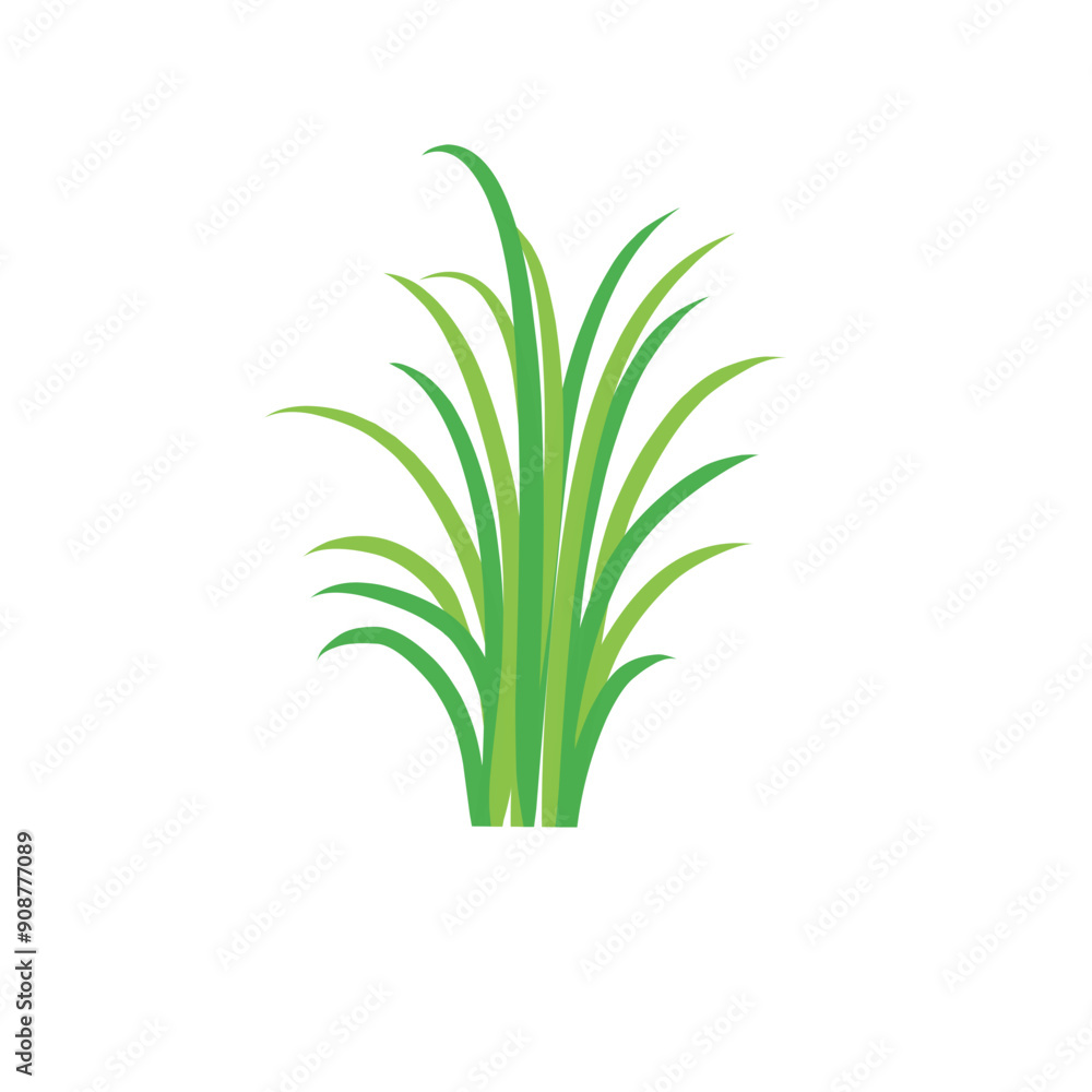 Fototapeta premium Green spring grass. Isolated on white background. Vector illustration.