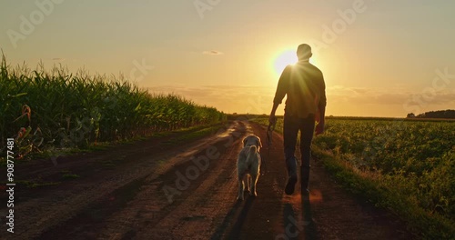 Silhouette of a male farmer walking along a country road through fields with his Golden Retriever dog, creating a serene rural scene.