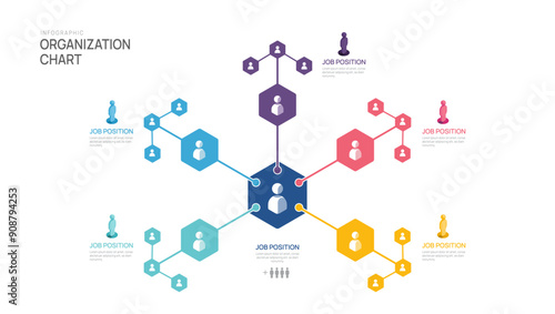 organization chart Infographic template with business avatar icons. vector infographic for business.