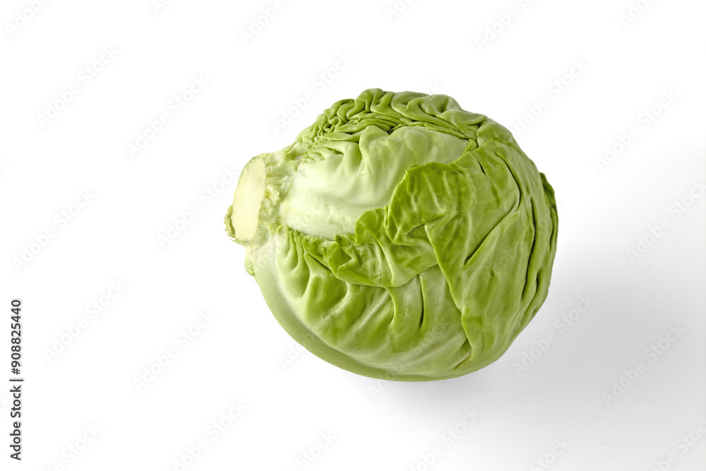 Fototapeta premium Raw white cabbage with beautiful textured leaves isolated on white background