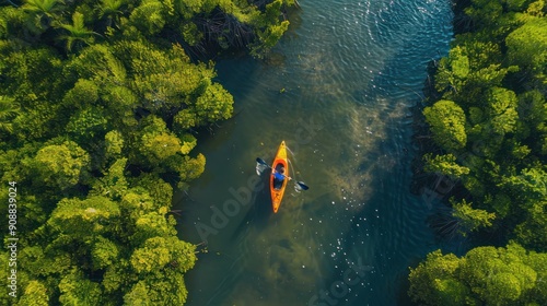 Fototapeta Naklejka Na Ścianę i Meble -  A lone kayaker glides through a serene mangrove forest, highlighting the tranquility and beauty of nature, suitable for travel brochures and adventure-themed content. 