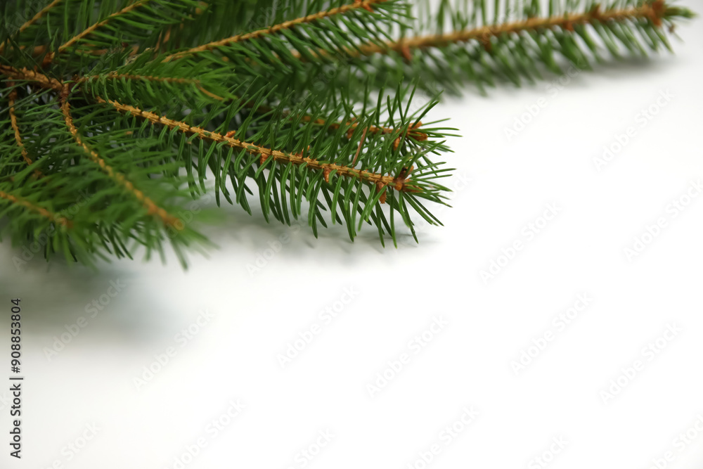 Christmas tree branch on white backdrop. Christmas border with copy space. Evergreen sprig, festive layout. Blurred Christmas tree branch on white backdrop. Christmas border with copy space. Evergreen sprig, festive layout. Blurred