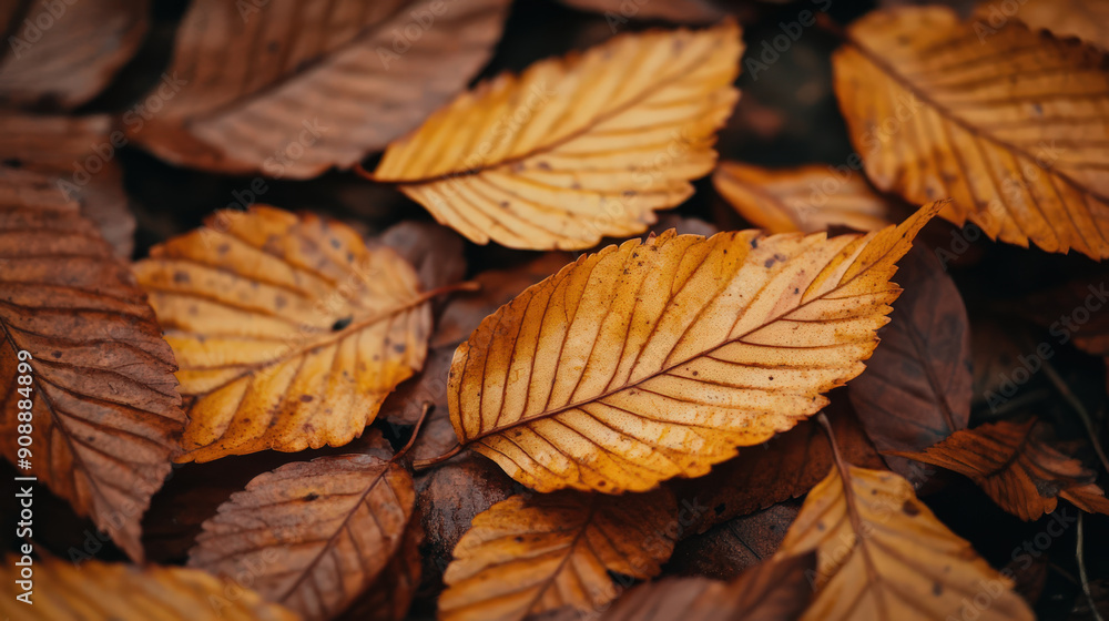 A pile of brown leaves on the ground A pile of brown leaves on the ground