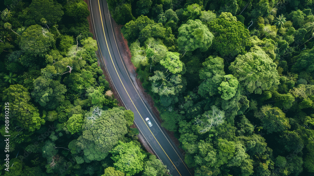 An aerial view of a winding road cutting through dense, lush green forest, with a single car traveling, showcasing nature's vastness and tranquility. An aerial view of a winding road cutting through dense, lush green forest, with a single car traveling, showcasing nature's vastness and tranquility.