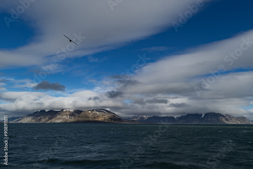 artic landscape