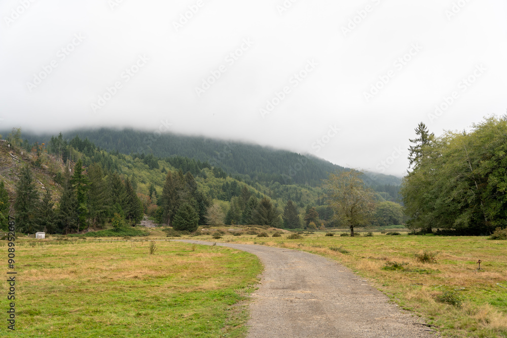 Fototapeta premium A walking path to the horizon in a local state park surrounded by lush greenery.