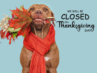 Signboard with the inscription We will be closed on Thanksgiving