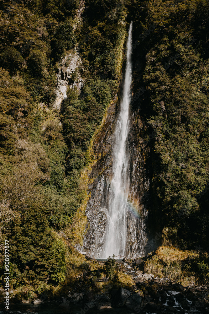 Fototapeta premium Thunder Creek Falls, Waterfall located on South Island New Zealand